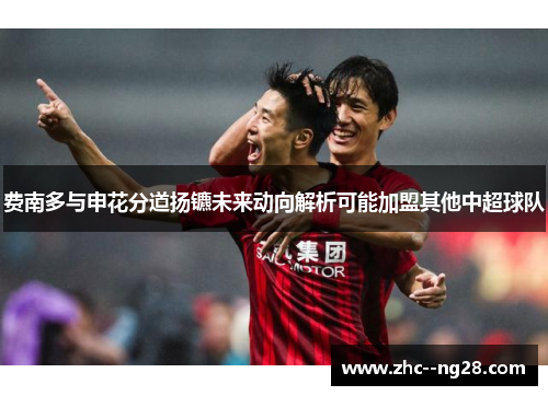 费南多与申花分道扬镳未来动向解析可能加盟其他中超球队 费南多与申花分道扬镳未来动向解析可能加盟其他中超球队