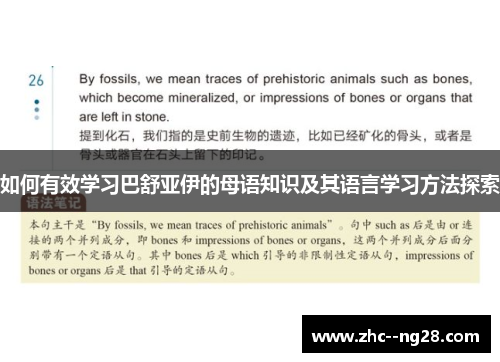 如何有效学习巴舒亚伊的母语知识及其语言学习方法探索 如何有效学习巴舒亚伊的母语知识及其语言学习方法探索