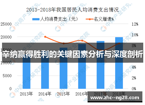 辛纳赢得胜利的关键因素分析与深度剖析 辛纳赢得胜利的关键因素分析与深度剖析