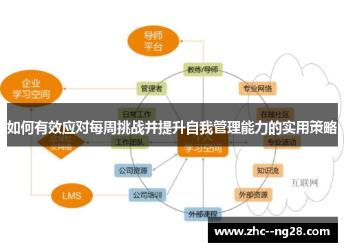 如何有效应对每周挑战并提升自我管理能力的实用策略
