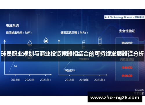 球员职业规划与商业投资策略相结合的可持续发展路径分析