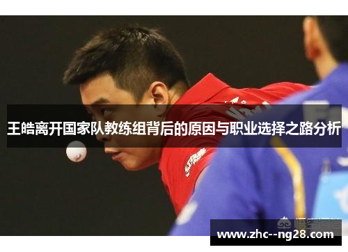 王皓离开国家队教练组背后的原因与职业选择之路分析