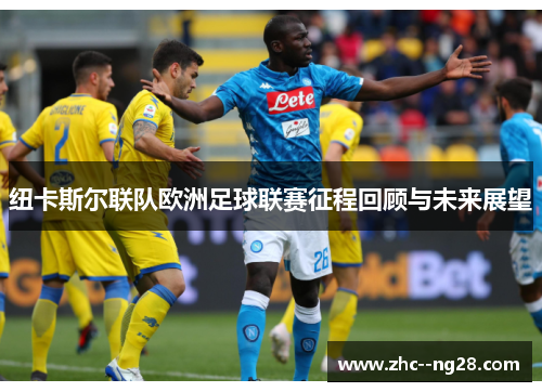 纽卡斯尔联队欧洲足球联赛征程回顾与未来展望