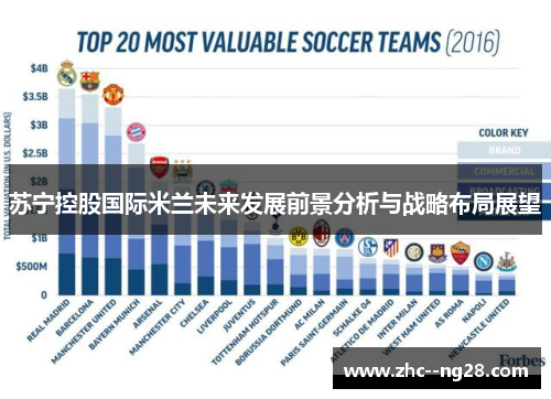 苏宁控股国际米兰未来发展前景分析与战略布局展望