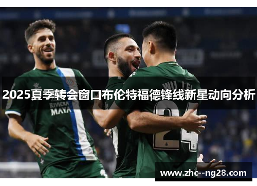 2025夏季转会窗口布伦特福德锋线新星动向分析