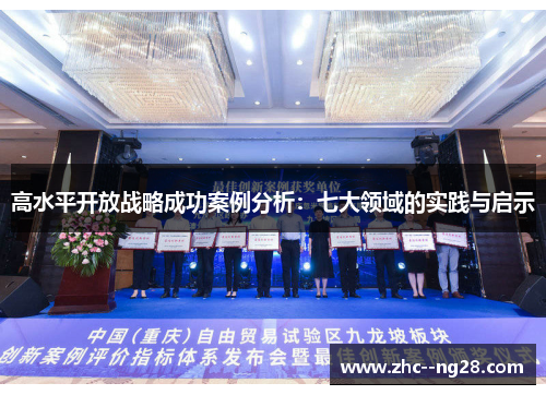高水平开放战略成功案例分析:七大领域的实践与启示 高水平开放战略成功案例分析:七大领域的实践与启示
