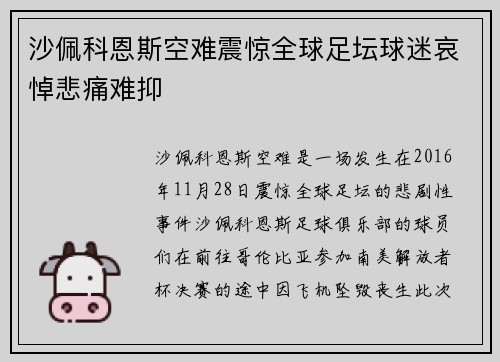 沙佩科恩斯空难震惊全球足坛球迷哀悼悲痛难抑